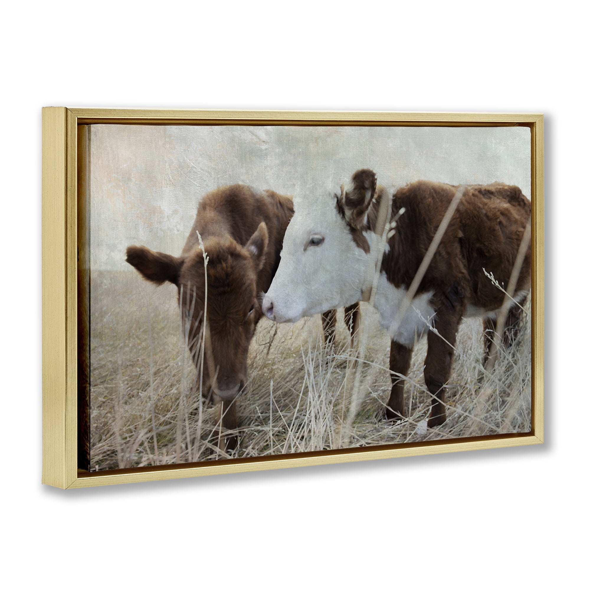Stupell Industries Baby Calf Pair in Grass Animals & Insects Photography Gold Floater Framed Canvas Art Print Wall Art, 25 x 17