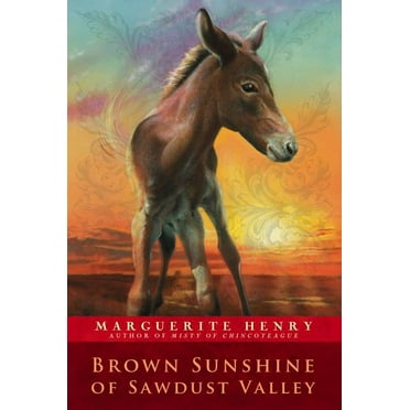Misty's Twilight (Paperback) - Walmart.com
