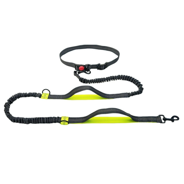 BKER Laisse pour Animaux de Compagnie Extérieur Course Réfléchissante Double Extensible Laisse pour Chien Chaîne Laisse Fournitures pour Animaux de Compagnie