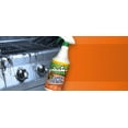 CR Brands 216278 30 oz Mean Green Cleaner & Degreaser