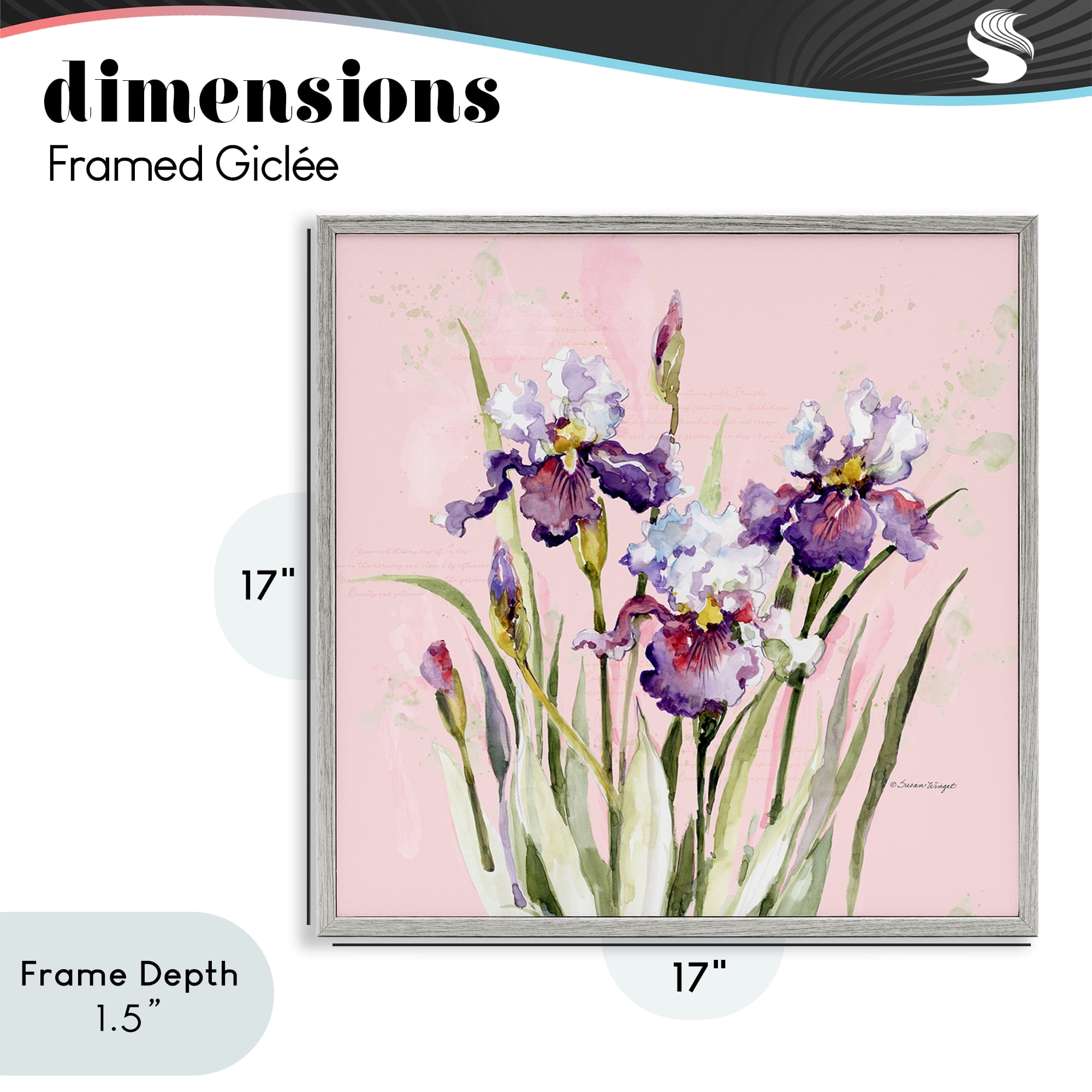 Stupell Industries Purple Irises on Pink Gray Framed Giclee Art, design by Susan Winget