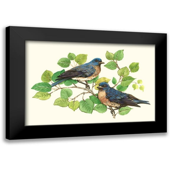 OToole, Tim 14x11 Black Modern Framed Museum Art Print Titled - Song Birds I