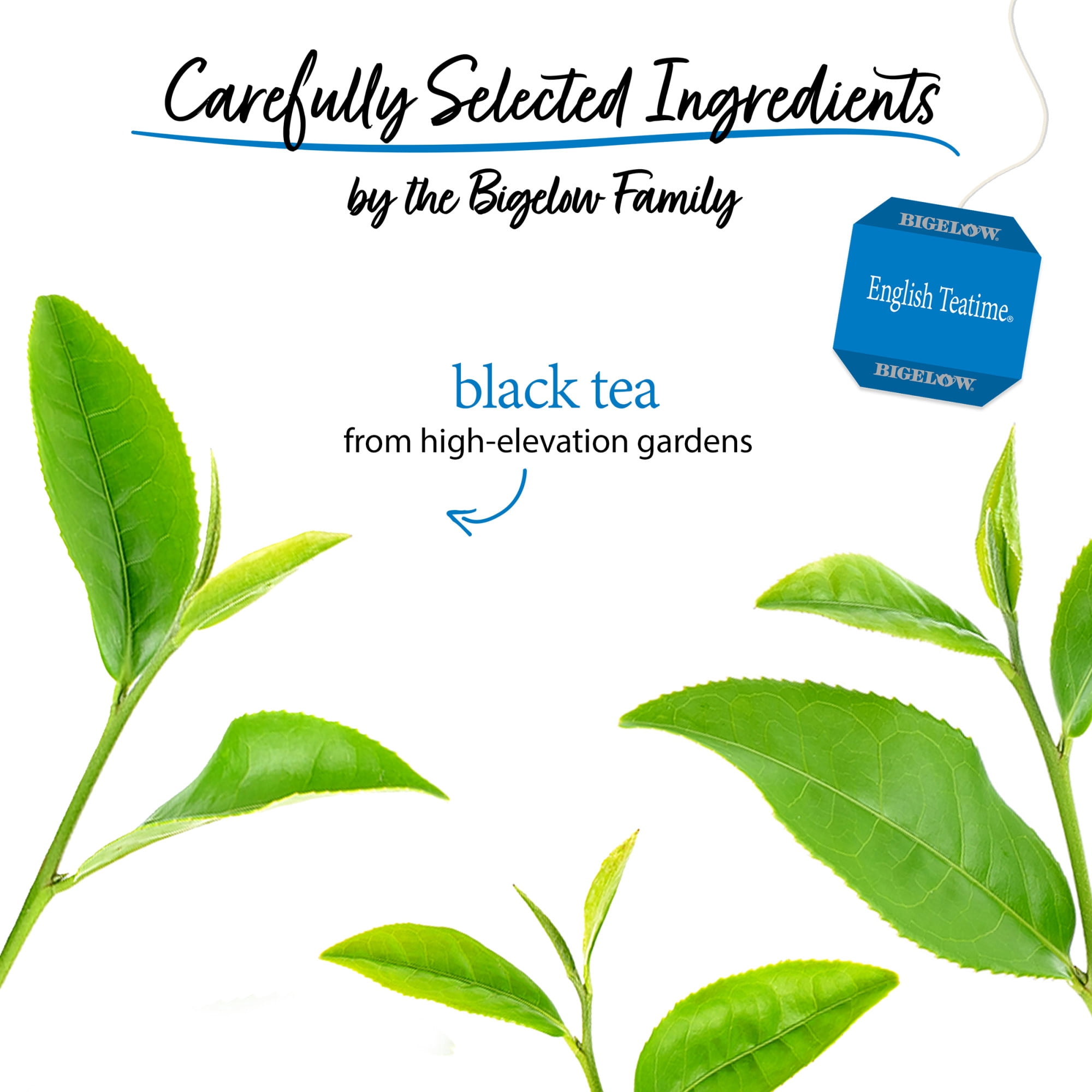 (3 pack) Bigelow English Teatime, Black Tea, Tea Bags, 20 Count