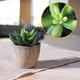 thumbnail image 2 of Plantas Suculentas de Imitación Ormromra 3 Piezas con Macetas Decoración Balcón Oficina, 2 of 2