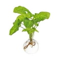 thumbnail image 4 of Clear Glass Flower Planter Vase Terrarium Container Micro Landscape Home Decor, 4 of 8