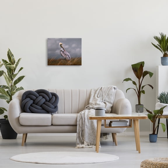 Stupell Wildlife Pelican Bird Cloudy Sky Animals & Insects Photography Gallery Wrapped Canvas Print Wall Art
