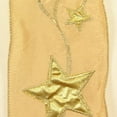 thumbnail image 2 of Gold Star Contemporary Wired Craft Ribbon 4" x 10 Yards, 2 of 2