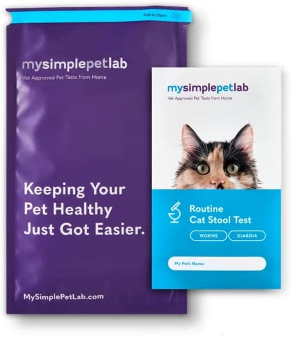 basking bulb for turtles