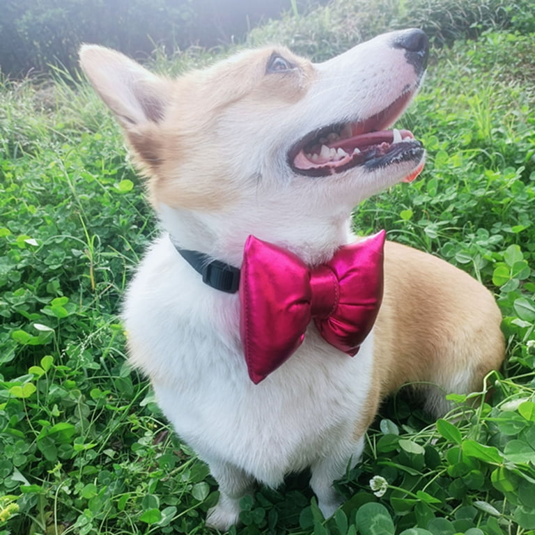 Holiday bow top ties for dogs