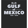 thumbnail image 2 of RIP Gulf of Mexico 1607-2025 Youth Black Long Sleee Hoodie-Medium, 2 of 3