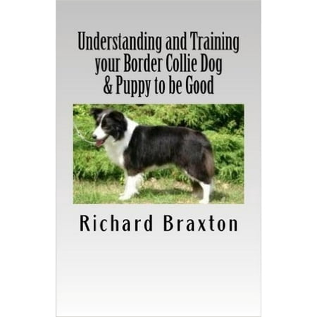 Understanding and Training your Border Collie Dog & Puppy to be Good -