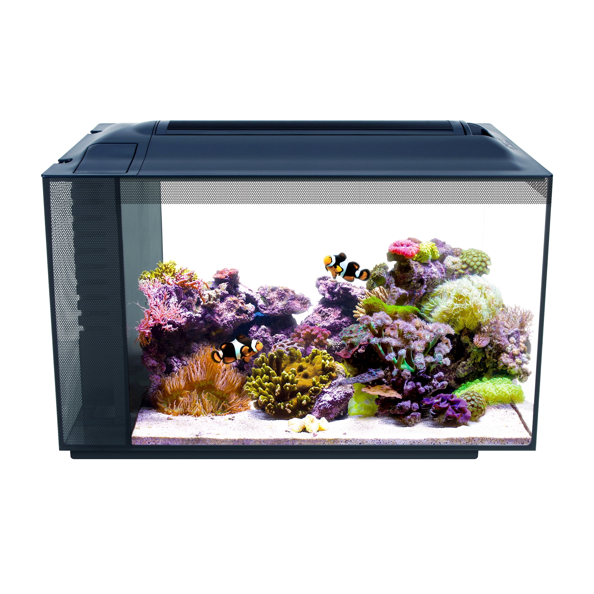 Fluval SEA EVO XII Aquarium Kit, 13.5 gallon