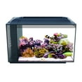 thumbnail image 2 of Fluval SEA EVO XII Aquarium Kit, 13.5 gallon, 2 of 5