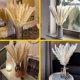 thumbnail image 5 of Hierba de pampa seca Decoración de jarrones de flores secas artificiales, decoración de hierba de pampa y flores secas, hierba de pampa natural, hierba de pampa seca, d, 5 of 5