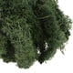 thumbnail image 3 of Musgo de reno noruego natural, eterno y preservado, flor seca para terrario, decoración de jardín de hadas Pasto verde, 3 of 7