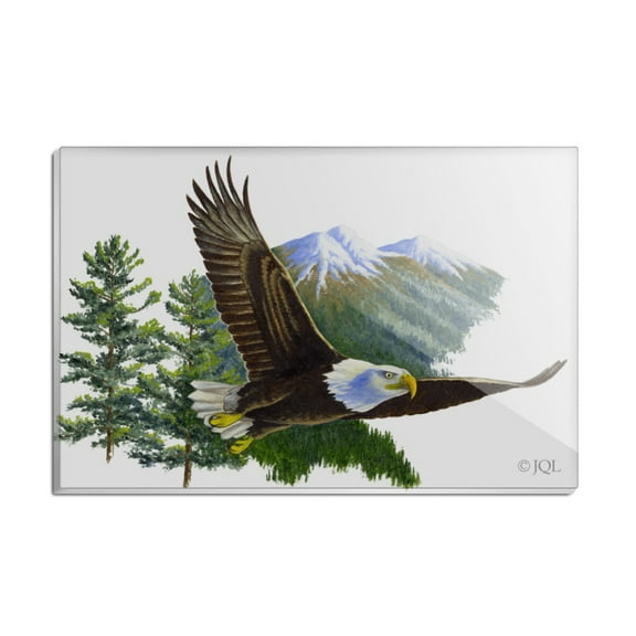 Bald Eagle Flying Over the Mountains Scenic Rectangle Acrylic Fridge Refrigerator Magnet