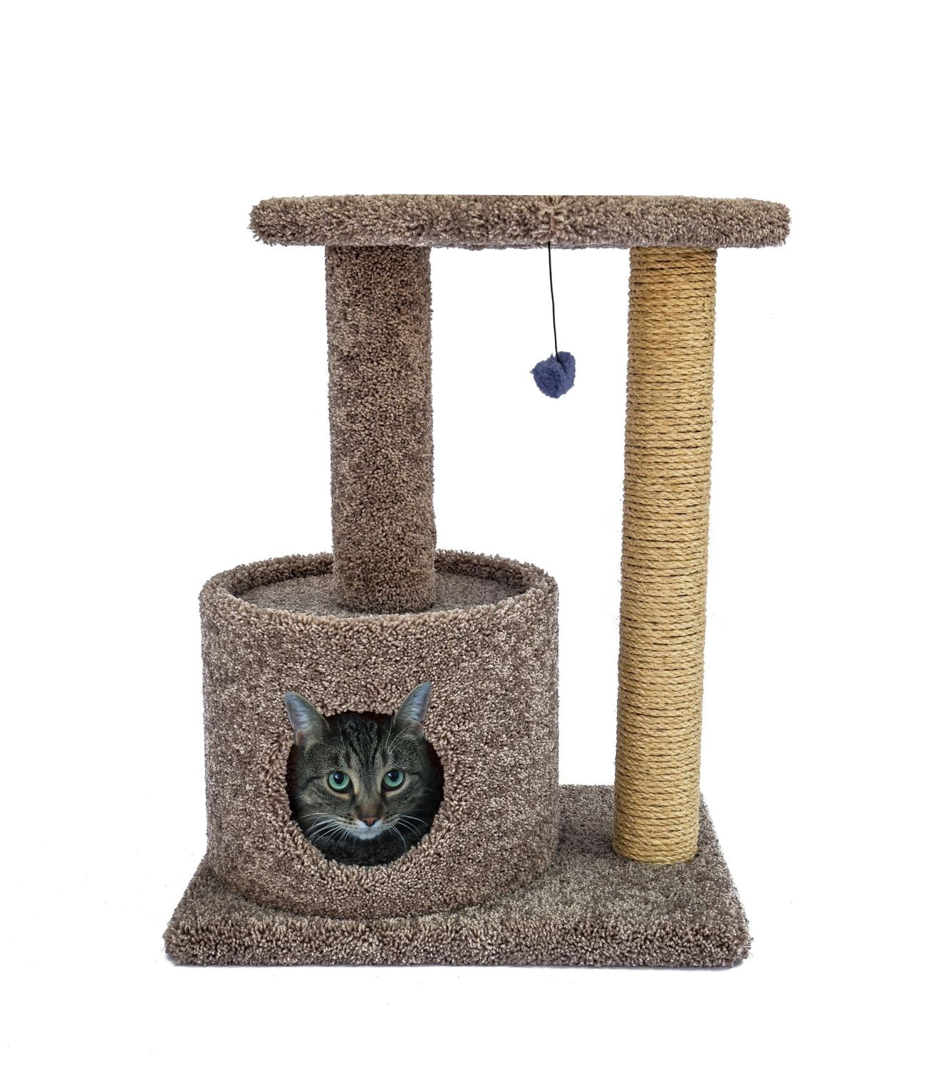 Wonder Gratte un Salon