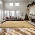 thumbnail image 2 of sasyxdc Super Soft Shaggy Area Rugs Fluffy Carpets  Indoor Area Rugs for Living Room Bedroom Kids  College Students Home Decor  Rectangular Fuzzy Rug  3x5 Feet  Solid-LightGrey dyu, 2 of 6