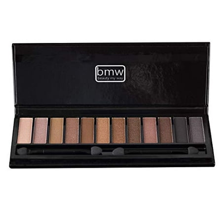 PROFESSIONAL EYESHADOW PALETTE 12 HIGHLY PIGMENTED SHADES IN MATTE AND SHIMMERING (Best Pigmented Eyeshadow Singles)