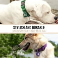 thumbnail image 5 of Dog Tag Silencer, Blue Rescued - Quiet Noisy Pet Tags - Fits Up to Four Pet IDs - Dog Tag Cover Protects Metal Pet IDs from Tarnish, Made of Durable Nylon, Universal Fit, Machine Washable, 5 of 6