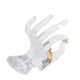 thumbnail image 5 of Soportes de exhibición de collar de joyería Forma OK Forma de mano Pulsera Soporte de anillo para colgantes Anillos Muestra accesorios Scienceny  JJ23909-02, 5 of 6