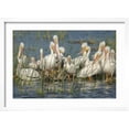 thumbnail image 2 of Art.com White Pelicans Resting and Preening, Viera Wetlands, Florida Photographic Print by Maresa Pryor, White Frame Wall Art, 23" x 17", 2 of 5