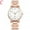 C, variant on Ausyst Watch for Women Ladies High-end Quartz Watch Stainless Steel Luminous Dial Leisure Watch