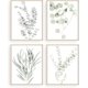 thumbnail image 1 of Impresiones de arte de pared de plantas botánicas - Juego de 4 impresiones de decoración de pared de plantas Flores de cocina Hojas de flores Arte de pared Boho Leaf Eucalyptus (sin marco) (8x10) ShuxiuWang 8390611106119, 1 of 1