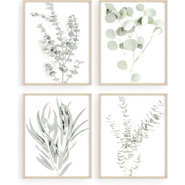 Impresiones de arte de pared de plantas botánicas - Juego de 4 impresiones de decoración de pared de plantas Flores de cocina Hojas de flores Arte de pared Boho Leaf Eucalyptus (sin marco) (8x10) ShuxiuWang 8390611106119