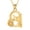 Gold, variant on Hummingbird Urn Necklace for Ashes Heart with Sunflower / Hummingbird Cremation Jewelry Remembrance Gift for Loss Memorial Gift for Female Women