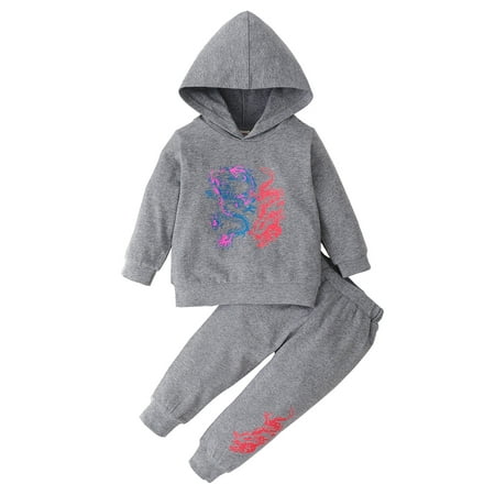 

KIMI BEAR Infant Boys Outfits 12 Months Infant Boy Autumn Outfits 18 Months Infant Boy Casual Flying Dragon Print Hooded Long Sleeve Top + Pants 2PCs Set Gray