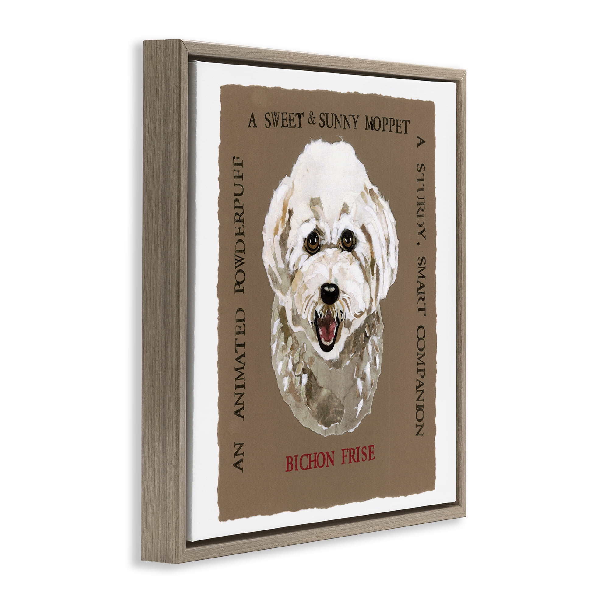Stupell Industries Fun Bichon Frise Phrases Animals Painting Brown Floater Framed Canvas Art Print Wall Art, 18 x 18