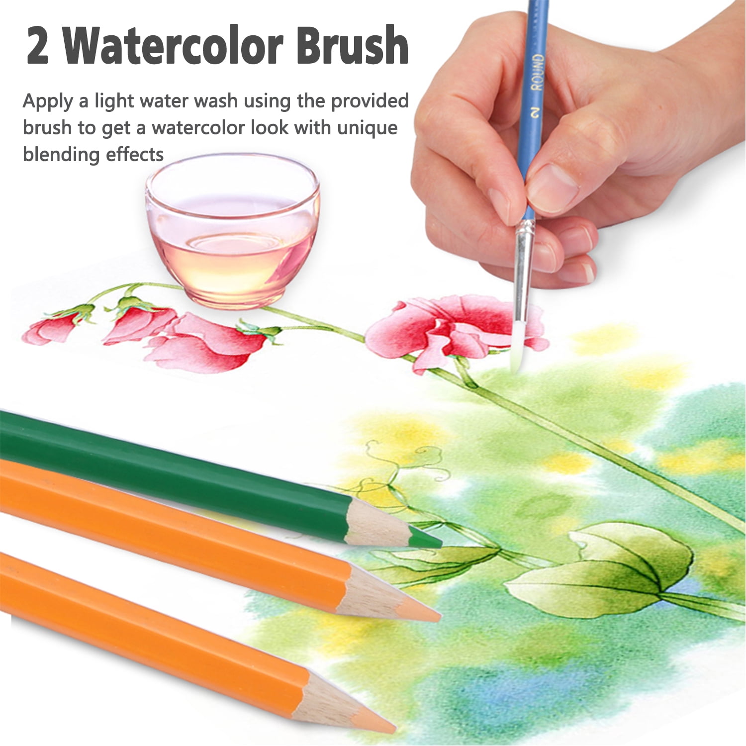 MEGICOT Watercolor Pencils Set of 48 - Includes Colored Pencils, Pencil Sharpener, 2-Watercolor Brush and Canvas Pencil Bag, Ideal for Adult Coloring Books & Art Pages