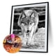 thumbnail image 1 of Cuadros Decorativos Pintura de diamantes de resina 5D DIY Wolf Full Round Home Wall Decor Art (B9312) Ehuebsd embutido en tela, 1 of 1