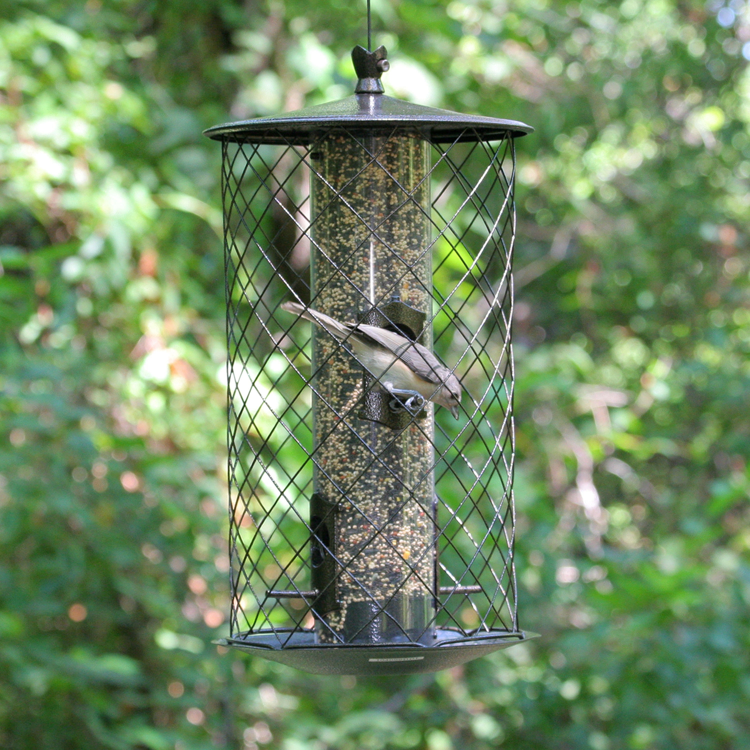 Outdoor Seasons 3 Lb. Capacity Preserve Bird Feeder