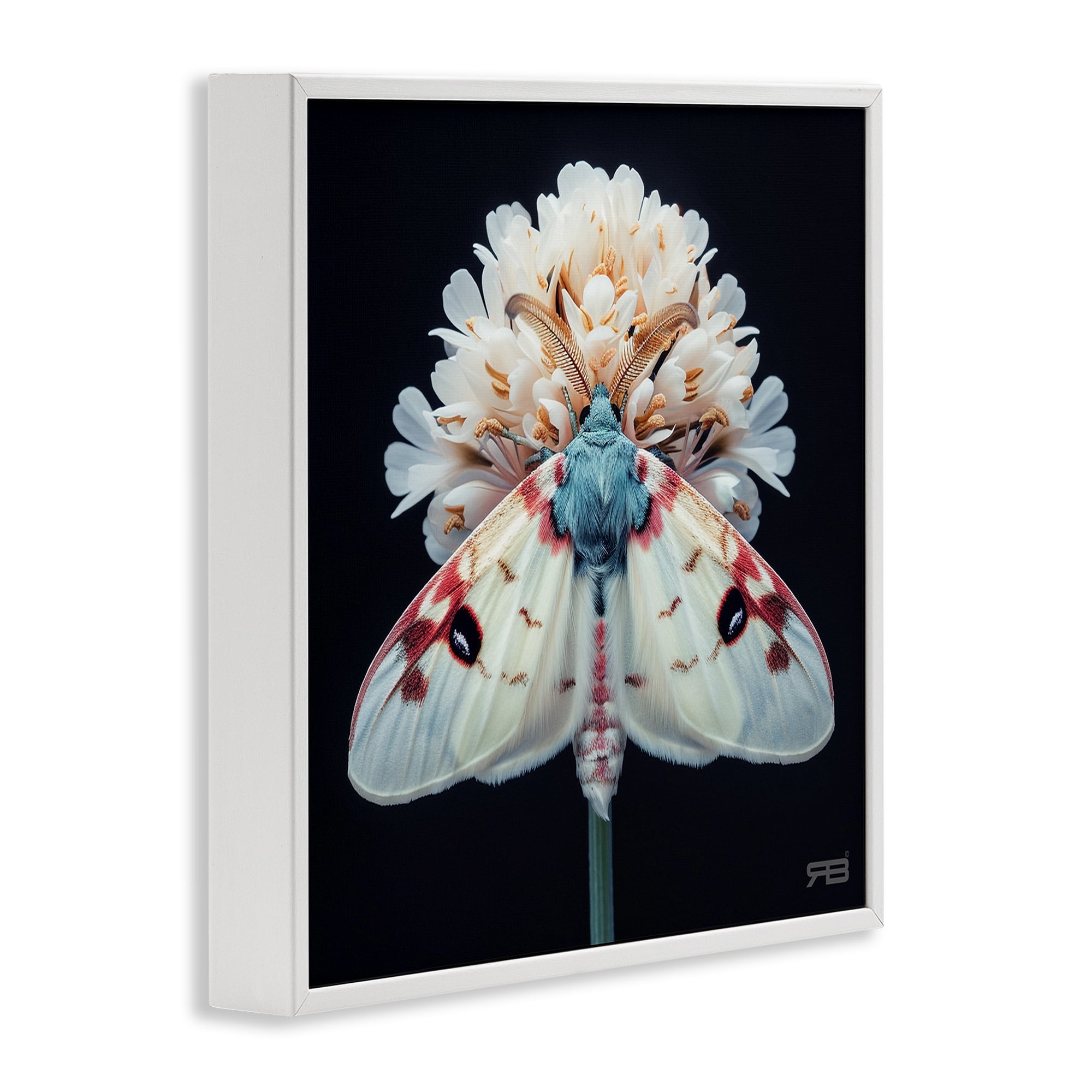 Stupell Industries Moth & White Flowers Animals & Insects Painting White Framed Art Print Wall Art, 24 x 24