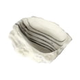 thumbnail image 4 of Plato de agua para reptiles, comedero para reptiles, plato para terrario, decoración de tanque, tazón de alimentación decorativo, de comida para, 4 of 7