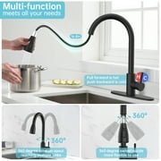 Kitchen Sink Faucets with Pull Down Sprayer, High Arc Single Handle with Water Lines