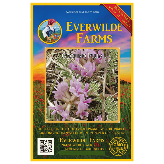 Everwilde Farms - 15 Ground Plum Native Wildflower Seeds - Gold Vault Seed Packet