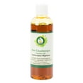 thumbnail image 1 of Huile de Chaulmoogra Hydnocarpus Wightiana pour les Cheveux pour la Peau Pure Naturelle Pressée à Froid Non Raffinée 100ml 3.38oz par R V Essential, 1 of 2