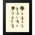 thumbnail image 2 of Vision Studio 20x24 Black Modern Framed Museum Art Print Titled - Trout Flies II, 2 of 5
