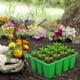 thumbnail image 1 of Bandejas de jardín Bandejas de semillas, Bandejas de semillas reutilizables para la germinación de semillas y propagación de plantas Maceta para plántulas, 1 of 8