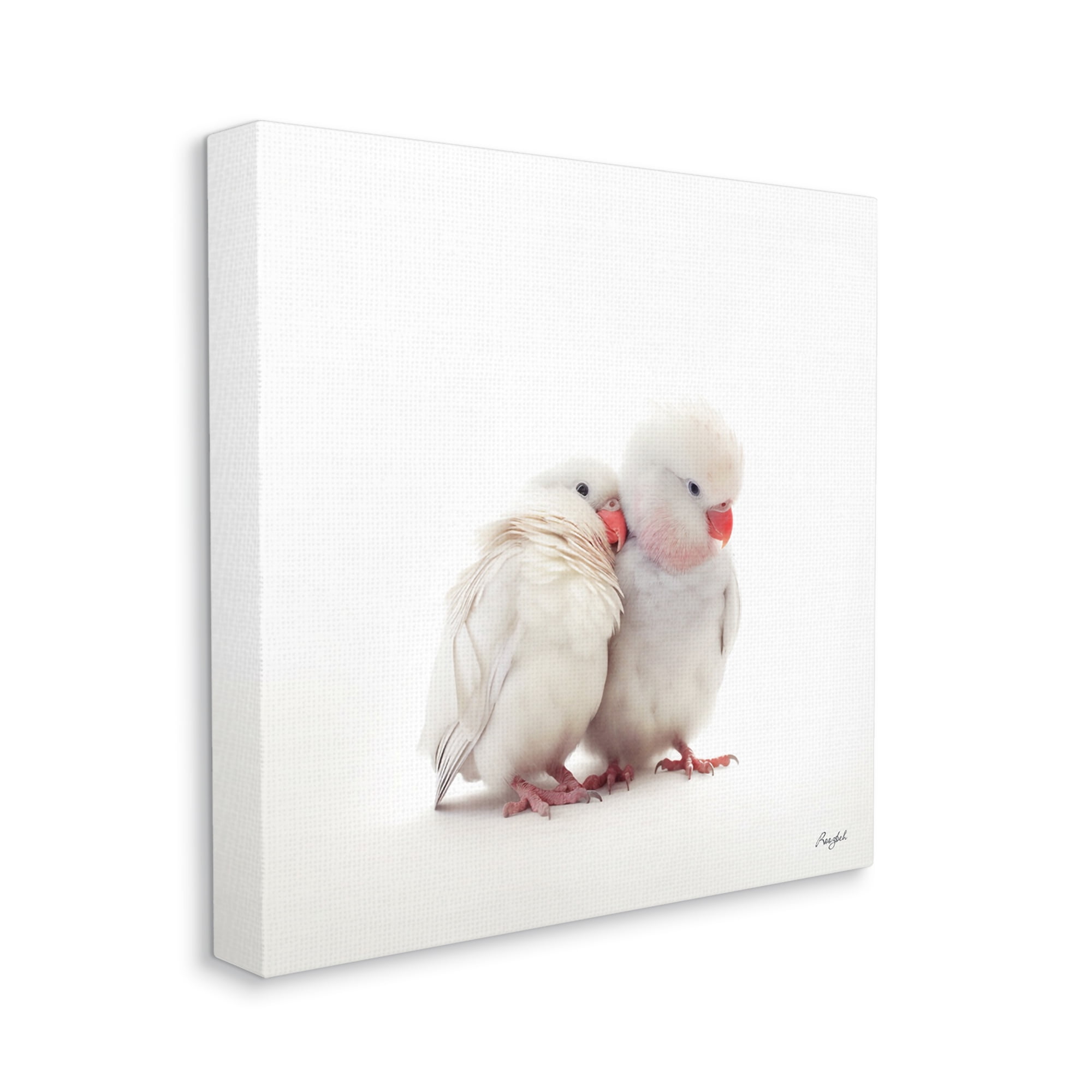 Stupell Industries White Love Birds Animals & Insects Painting Gallery Wrapped Canvas Art Print Wall Art, 24 x 24