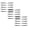 Grey, variant on Reusable Eyeliner Stickers 10Pcs - Instant Cat Eye Makeup Decals, Waterproof Eye Makeup Guide Stickers, Easy Apply Cosmetic Eye Liner Strips, Party Cosplay Eye Beauty Accessories 10PCS*1