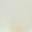 Colorful-2, variant on INSPIRE CHIC Unisex Wide Shoelaces, Wavy Curl Silk Chiffon Shoelaces, Solid, 2 Pairs Per Pack white 100cm/39.37"