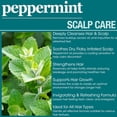 thumbnail image 4 of Difeel Peppermint Scalp Care Shampoo 12 oz., 4 of 10