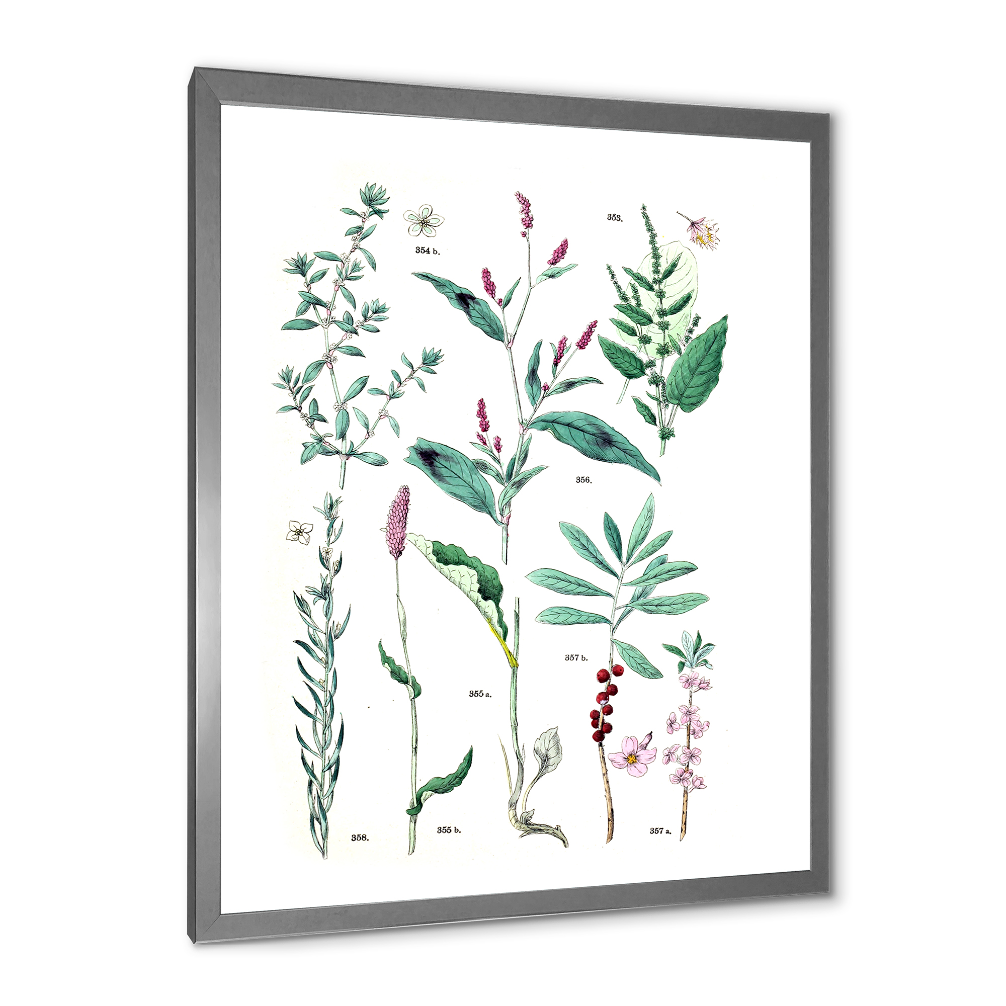 Designart 'Ancient Plants' Traditional Framed Art Print