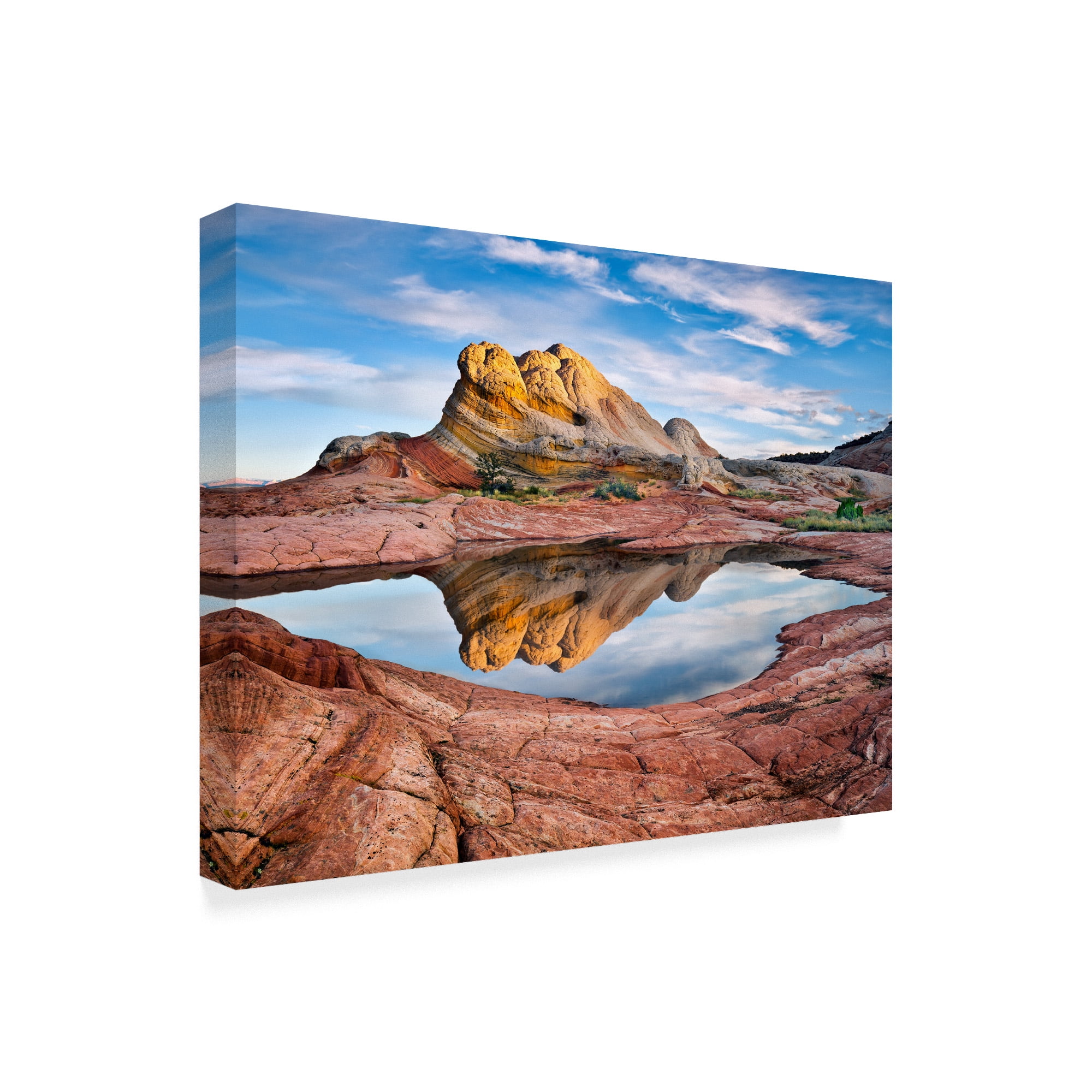Trademark Fine Art 'Arizona Reflection II' Canvas Art by David Drost