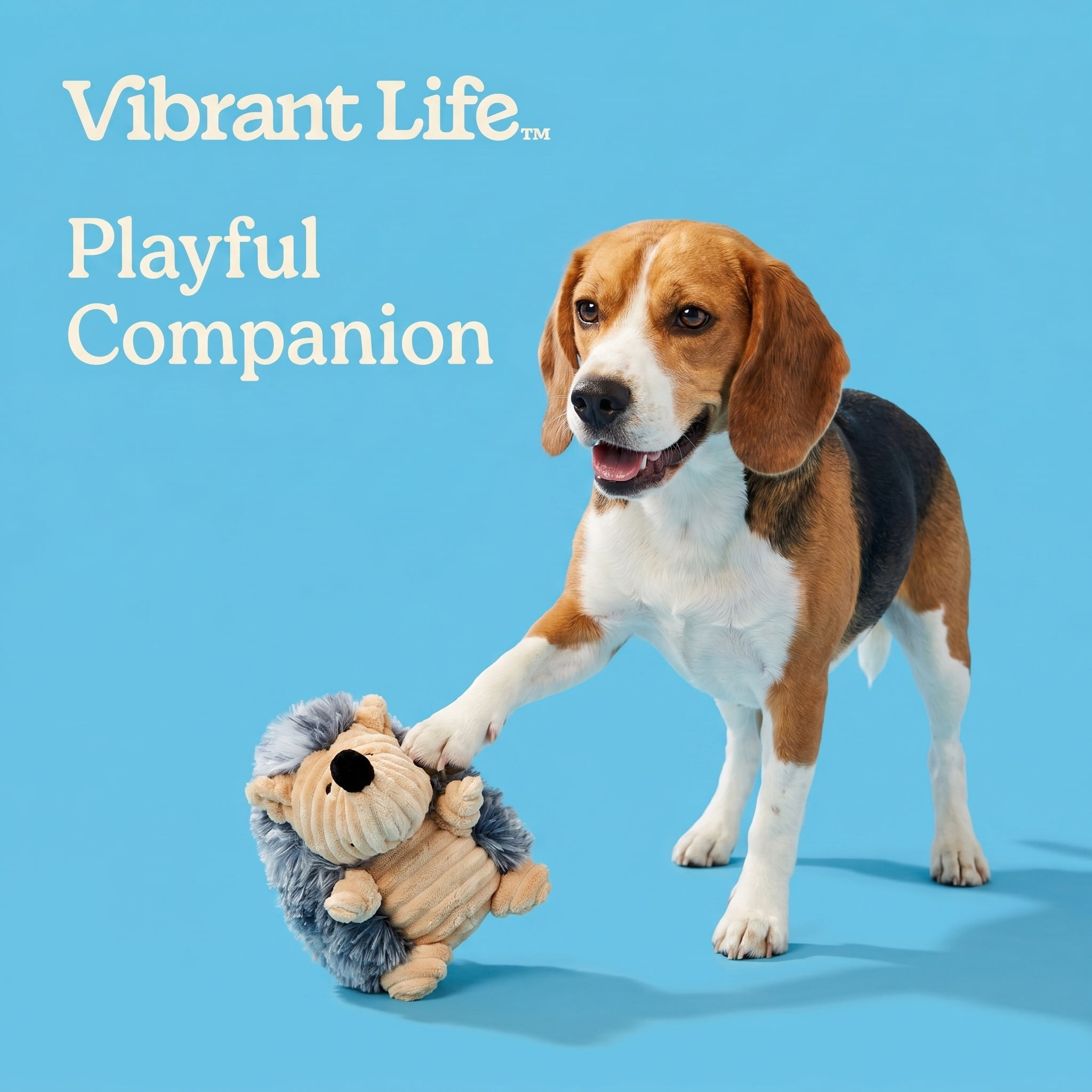 Vibrant Life Gray Hedgehog Plush Dog Toy with Squeaker, Chew Level 2