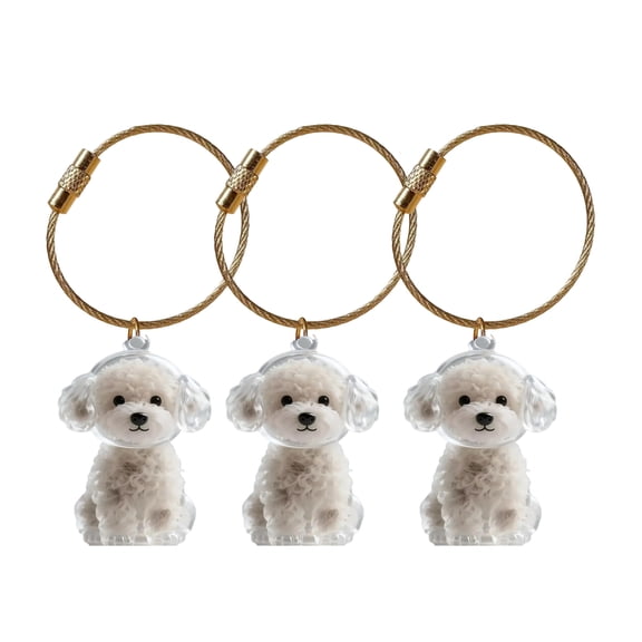 OIUR 3Pcs Cat Hair Storage Box Keychain Transparent Acrylic Dog Hair Memorial Bottle Pet Hair Collector Container Key Ring Pet Owner Keepsake Gift